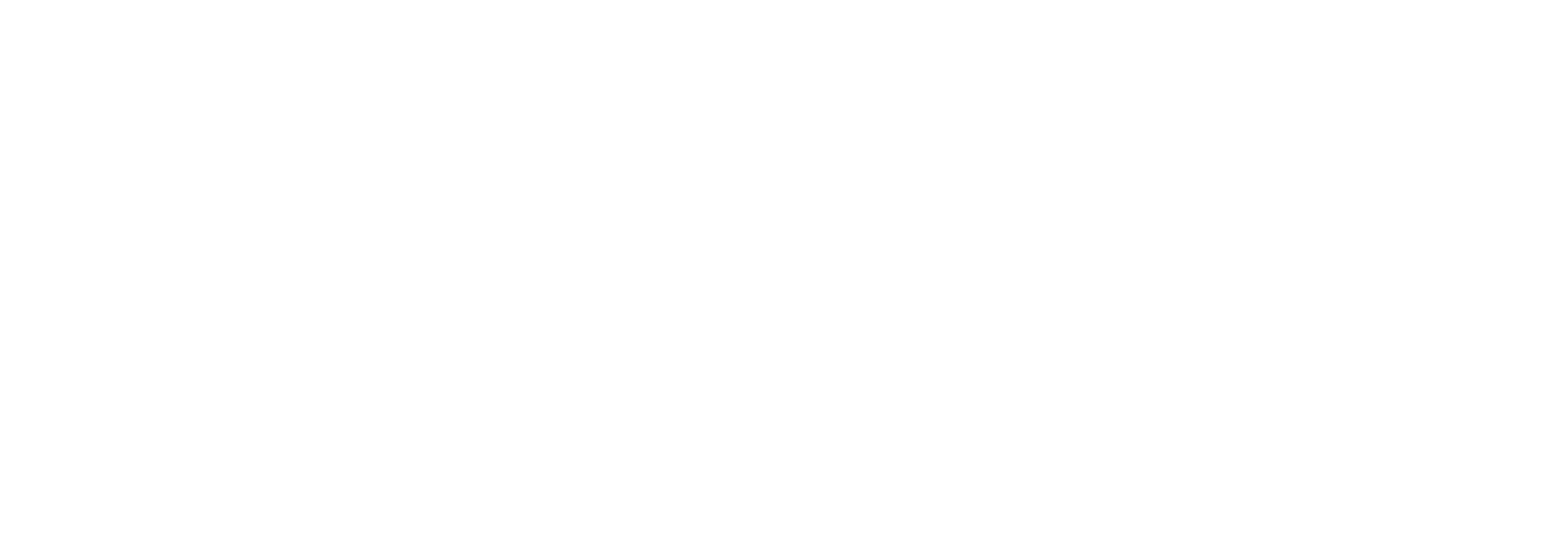 Hvidt Nomia logo