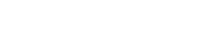 Hvidt Bizz Zolutions logo