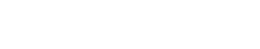 Hvidt CloudPro logo